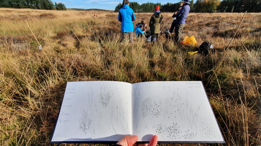 Denton Moor drawing expedition